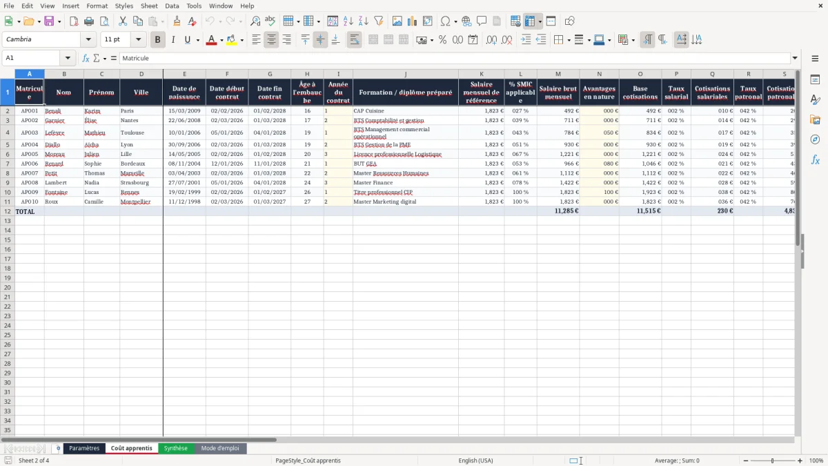Capture 2 : onglet Coût apprentis - Modèle Excel calcul du coût d'un apprenti excel